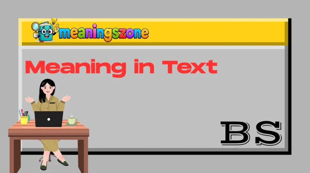 BS Meaning in Text