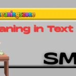 SMH Meaning in Text