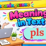pls Meaning in Text